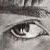 :iconhops118: