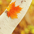 :iconhopscotch-fun: