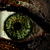 :iconhorizonpl: