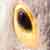 :iconhorizontal-refresher: