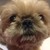 :iconHorohoroplushie: