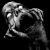:iconhorrorpassion: