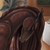 :iconhorse-anatomy: