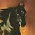 :iconhorse-l0ver: