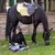 :iconhorse-rider-f: