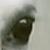 :iconhorse-spirit: