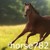 :iconhorse782: