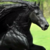 :iconhorseaddict4life: