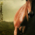 :iconhorsegirl1592: