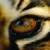 :iconhorselouver958: