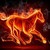 :iconhorselove198: