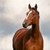 :iconhorselove4:
