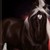:iconhorselover-17: