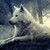 :iconhorselovergirl1234: