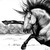 :iconhorseluver1254: