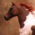 :iconhorseluver832: