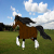:iconhorsemadruby: