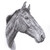 :iconhorseonpaper: