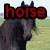 :iconhorseriders119:
