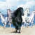 :iconhorseriding4life: