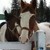 :iconhorses-1: