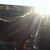 :iconhorses2525:
