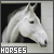 :iconhorsey-lover: