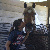 :iconhorseyloverforever22: