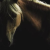 :iconhorsjuke: