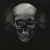:iconhorskan: