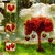 :iconhortonspec: