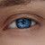 :iconhoru5: