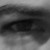:iconhorus-eire: