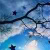 :iconhoshi-twilight-star: