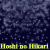 :iconhoshinohikari: