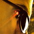 :iconhoss-d2012: