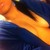 :iconhot69babe: