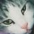 :iconhotaru-icerain: