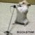 :iconhotcherokeechick08:
