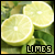 :iconhotd-limey: