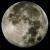 :iconhotelvengurl: