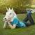 :iconhotyu-gi-ohlover: