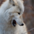 :iconhouseofgrey: