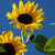 :iconhow-i-are: