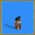:iconhoweird: