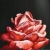 :iconhowl2: