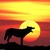 :iconhowlingatthesun: