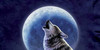 :iconhowltothemoonwolves: