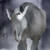 :iconhowrse-rox: