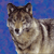 :iconhozy224: